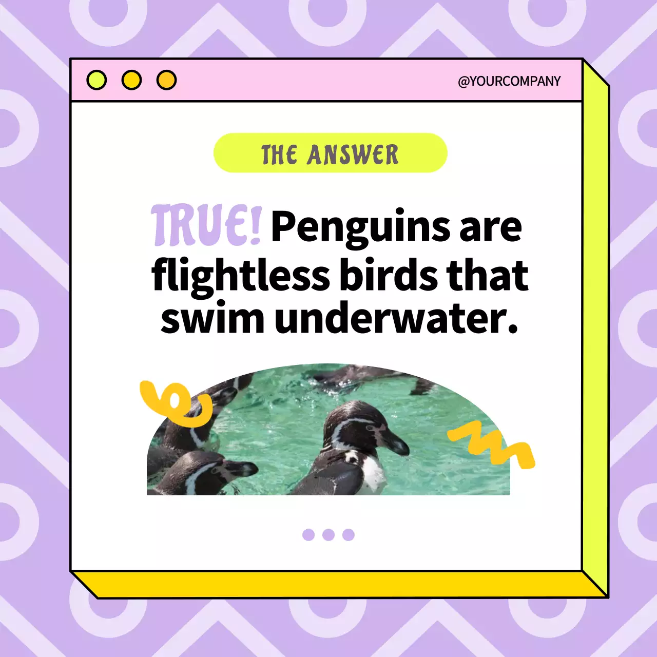 Yellow Playful Quiz Guide Social Media Post