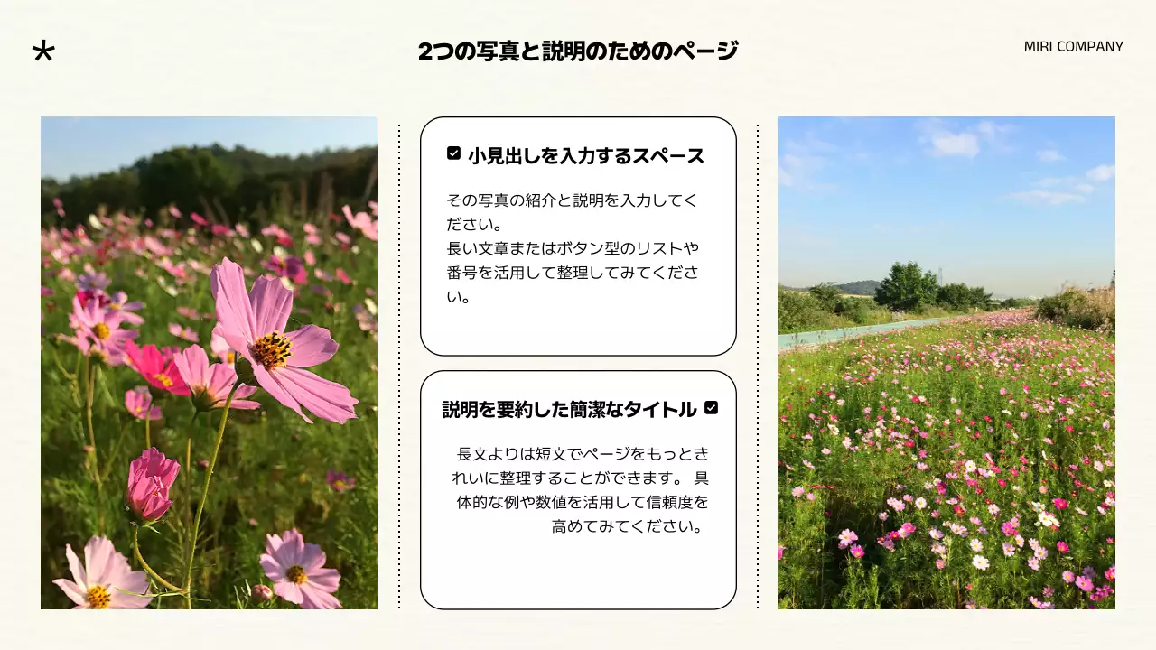 白黒 上品 ブランド プレゼンテーション