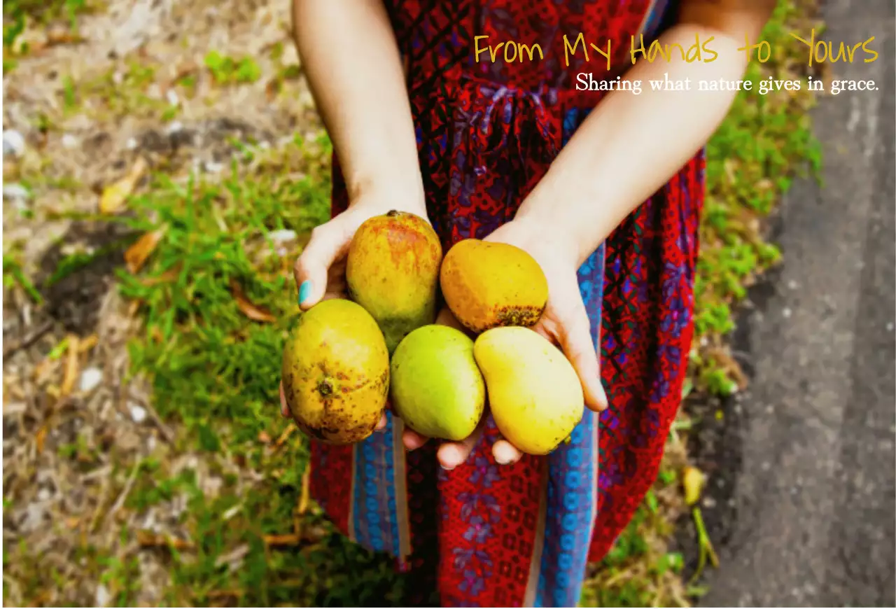 열대과일 망고를 손에 들다