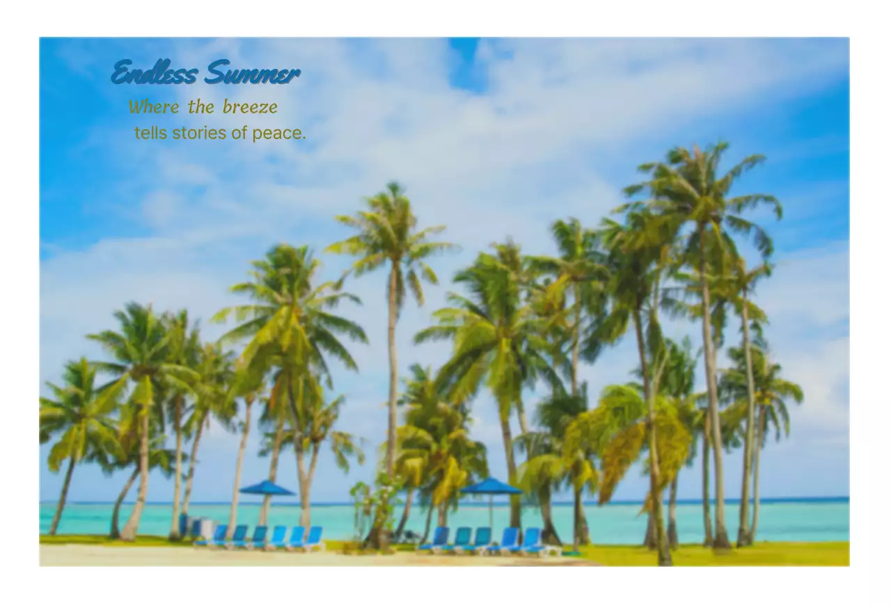 바람부는 해변의 야자수들