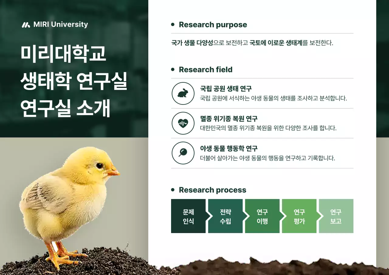 초록 심플 생태학 연구 소개