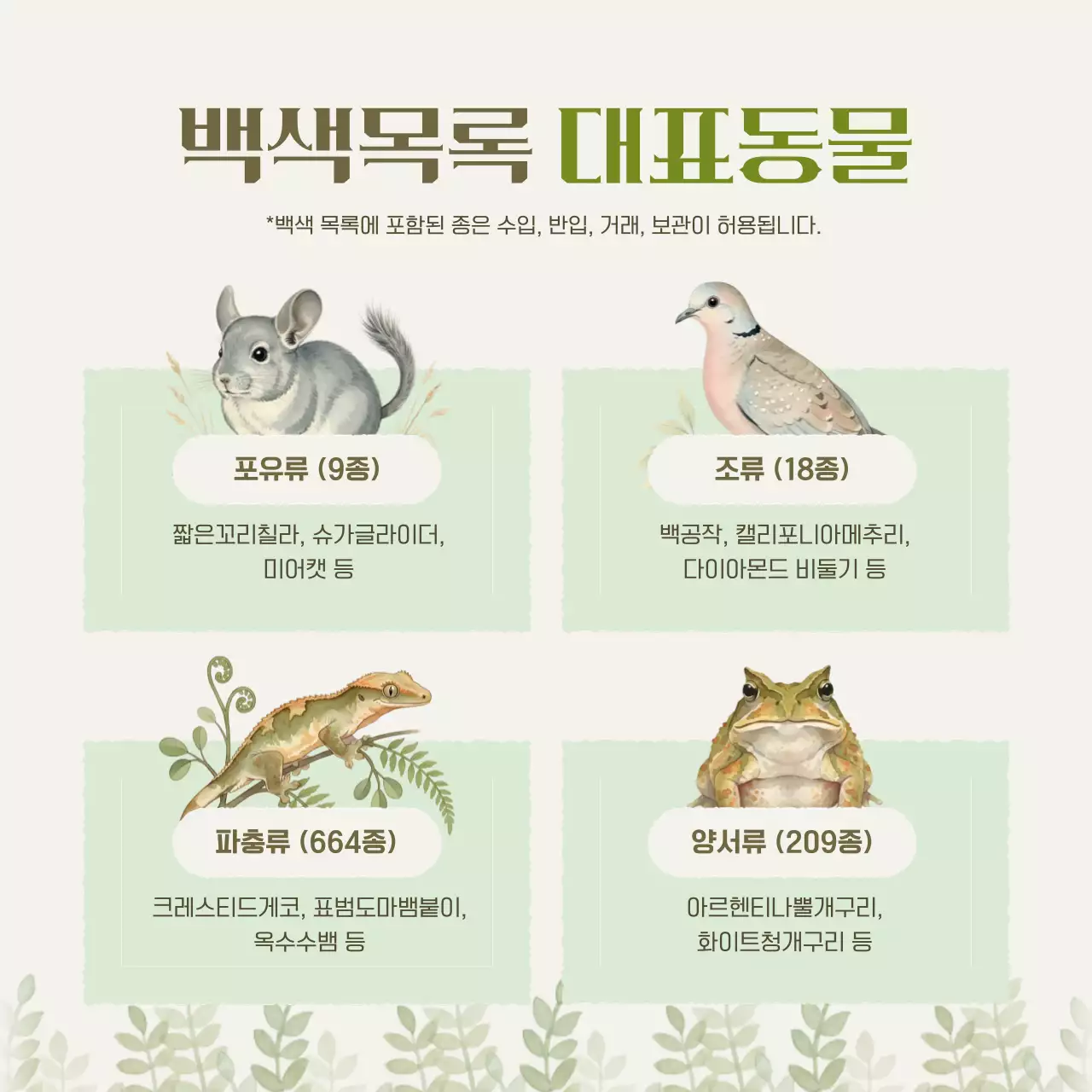 베이지 자연 야생동물 안내