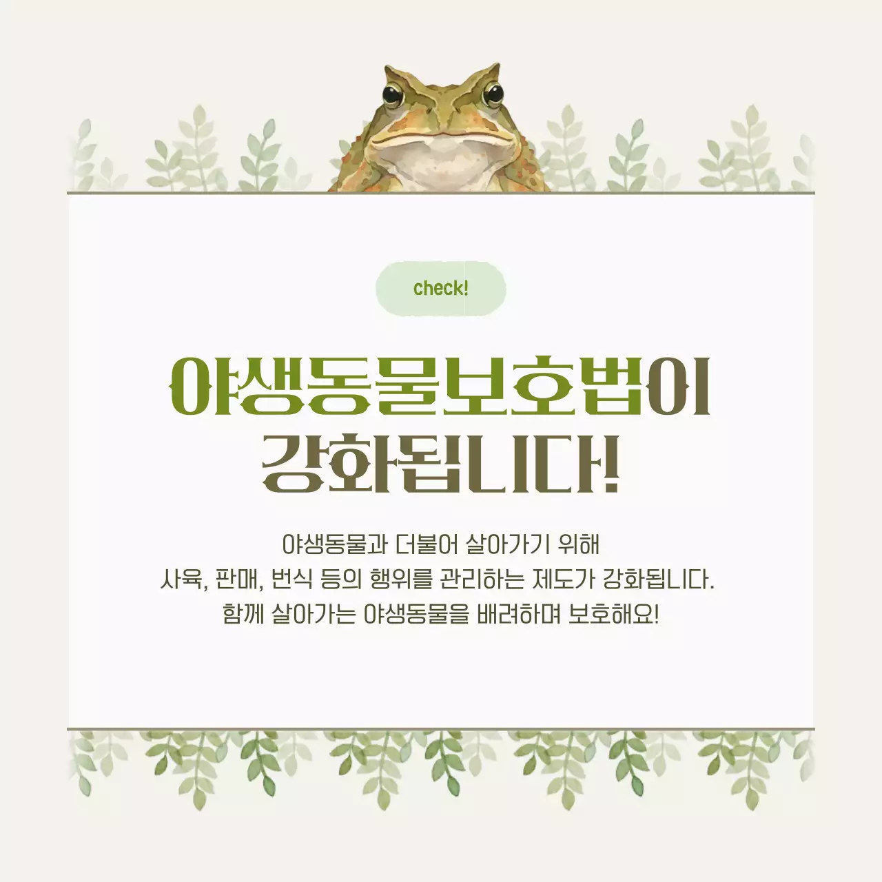 베이지 자연 야생동물 안내