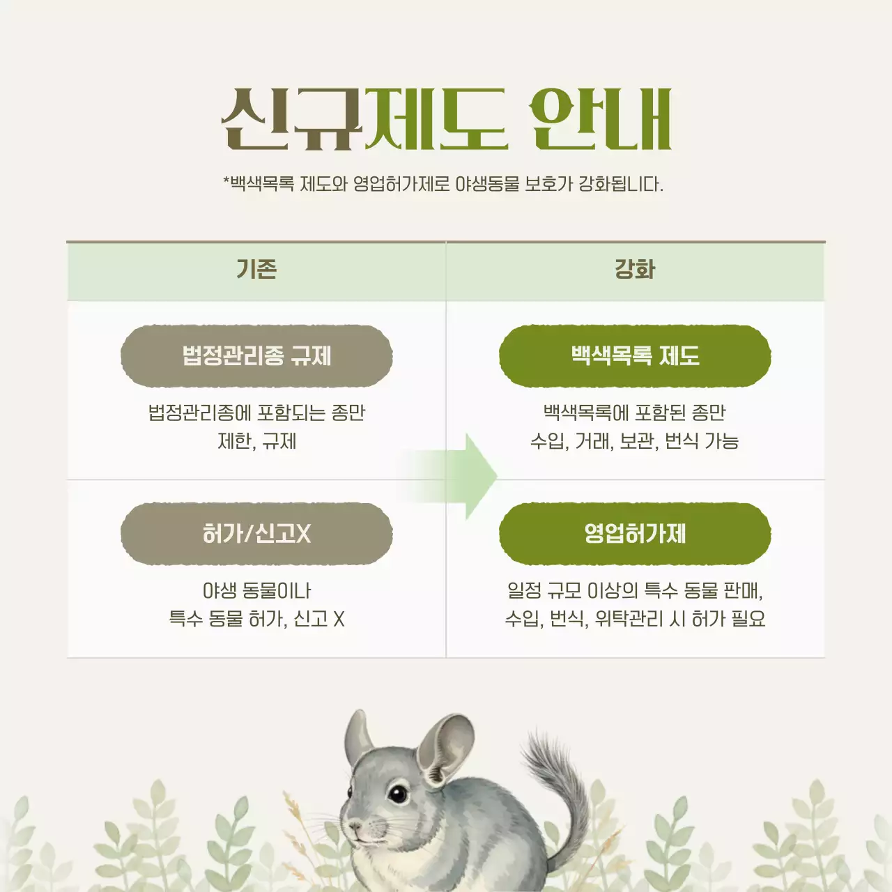 베이지 자연 야생동물 안내