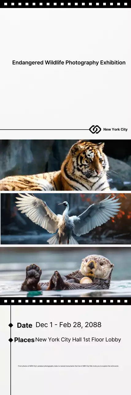 Guia de exposição Black Simple