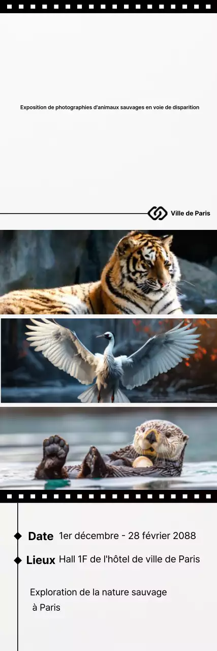 Guide d'exposition Black Simple