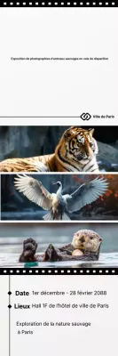 Guide d'exposition Black Simple