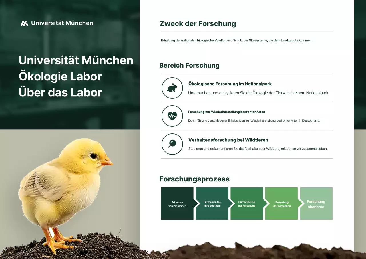 Einführung in die einfache grüne Ökologieforschung