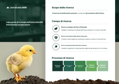Introduzione alla ricerca ecologica semplice e verde