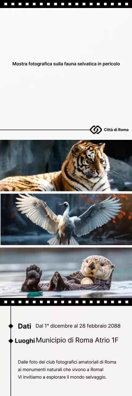 Guida alla mostra Black Simple