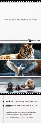 Guida alla mostra Black Simple