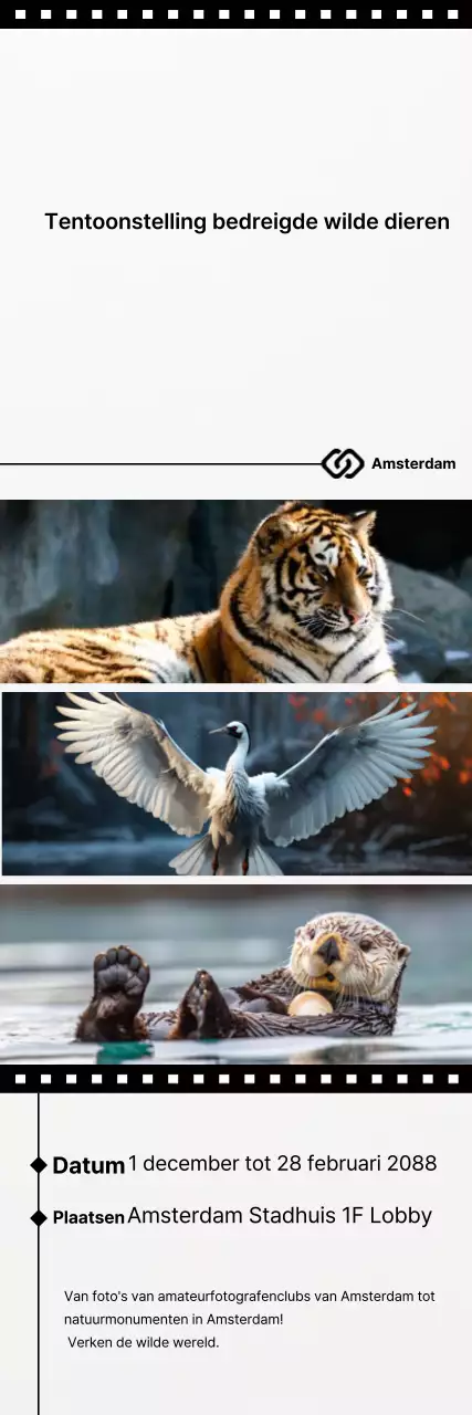 Black Simple Tentoonstellingsgids