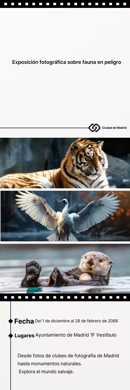 Guía de la exposición Black Simple