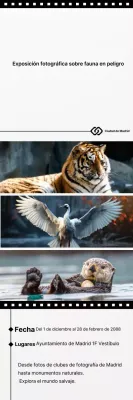 Guía de la exposición Black Simple