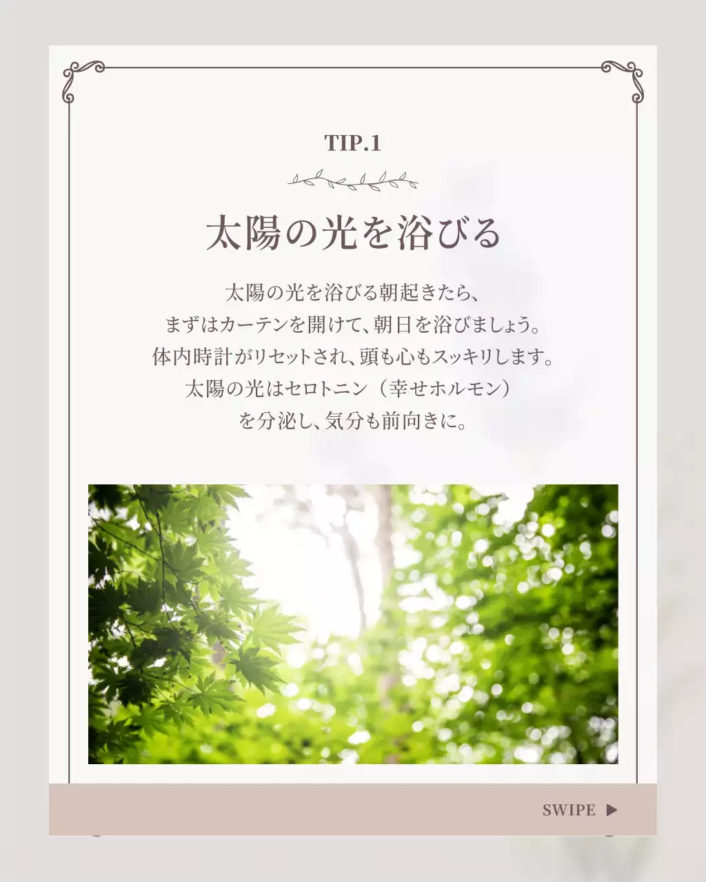 アイボリー 上品 習慣 チラシ