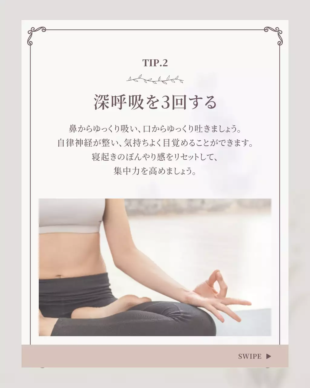 アイボリー 上品 習慣 チラシ