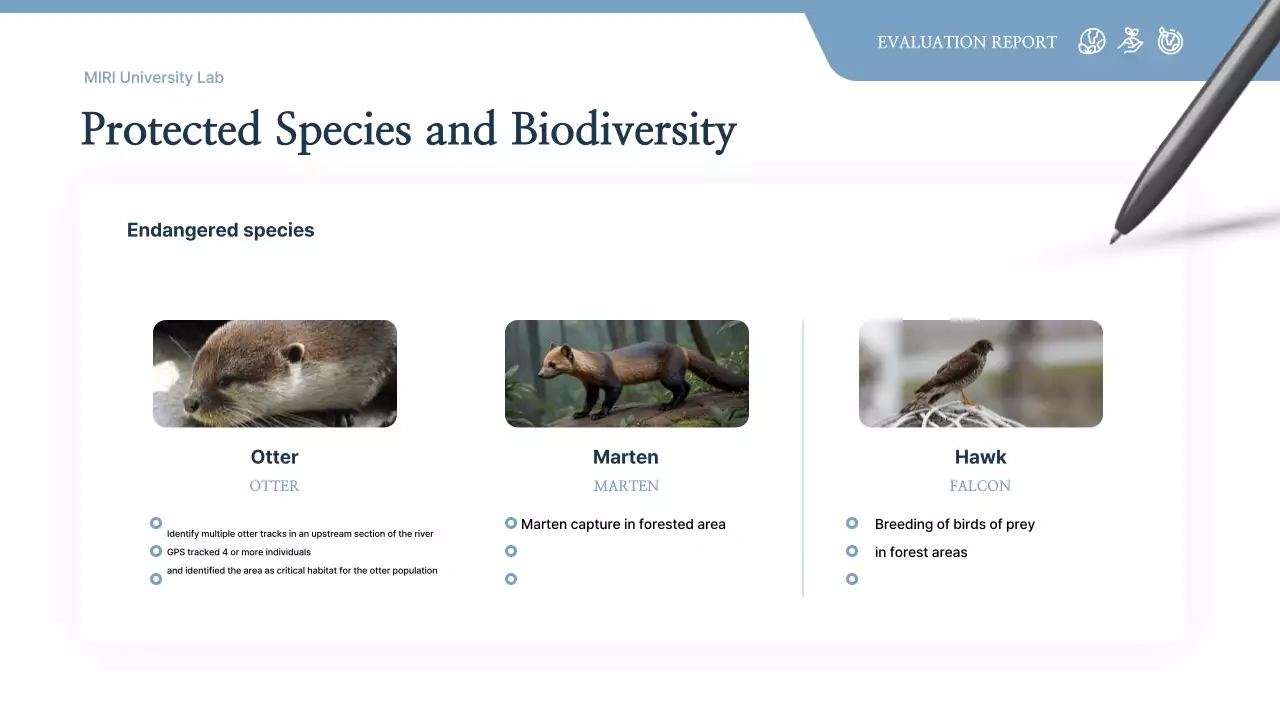 Gray Clean Environment Report