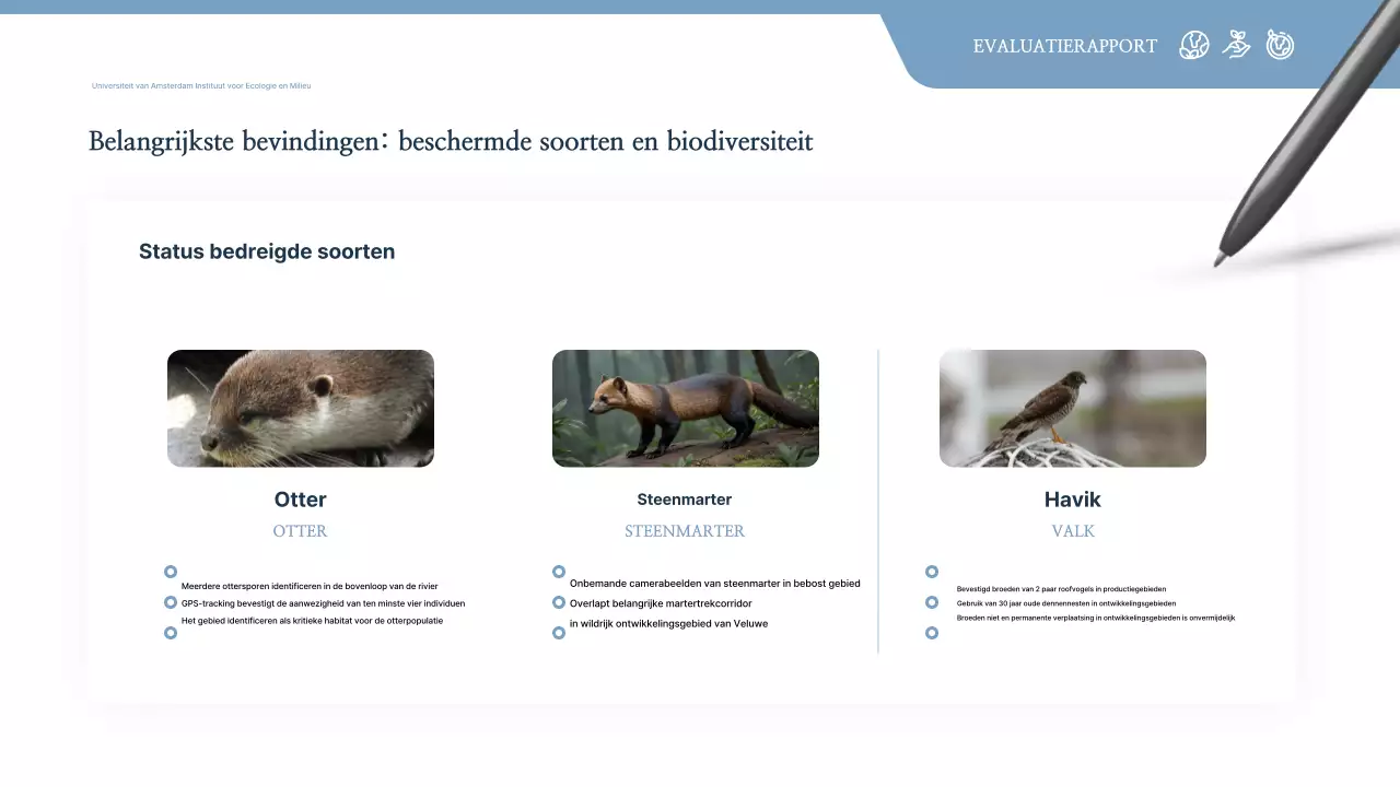 Gray Clean Environment Report