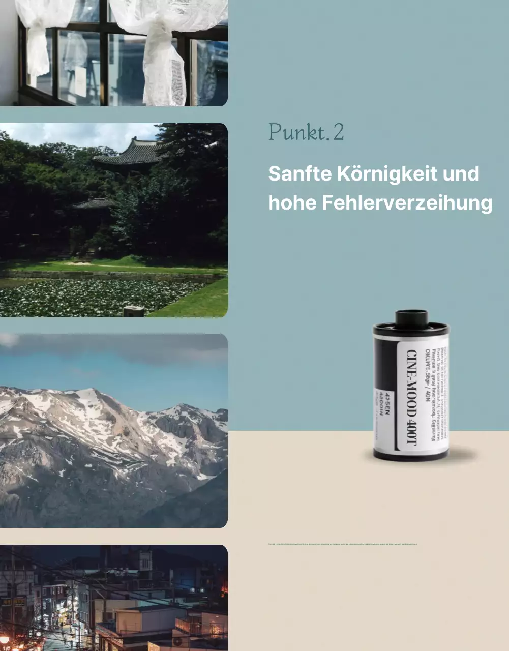 Werbung für einen Vintage-Film in Mint-Qualität