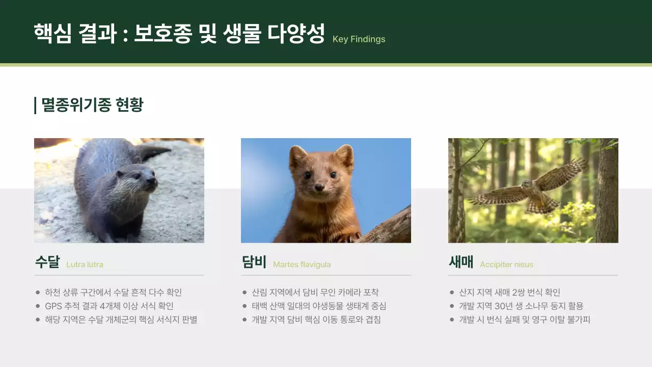 초록 깔끔 환경 보고서