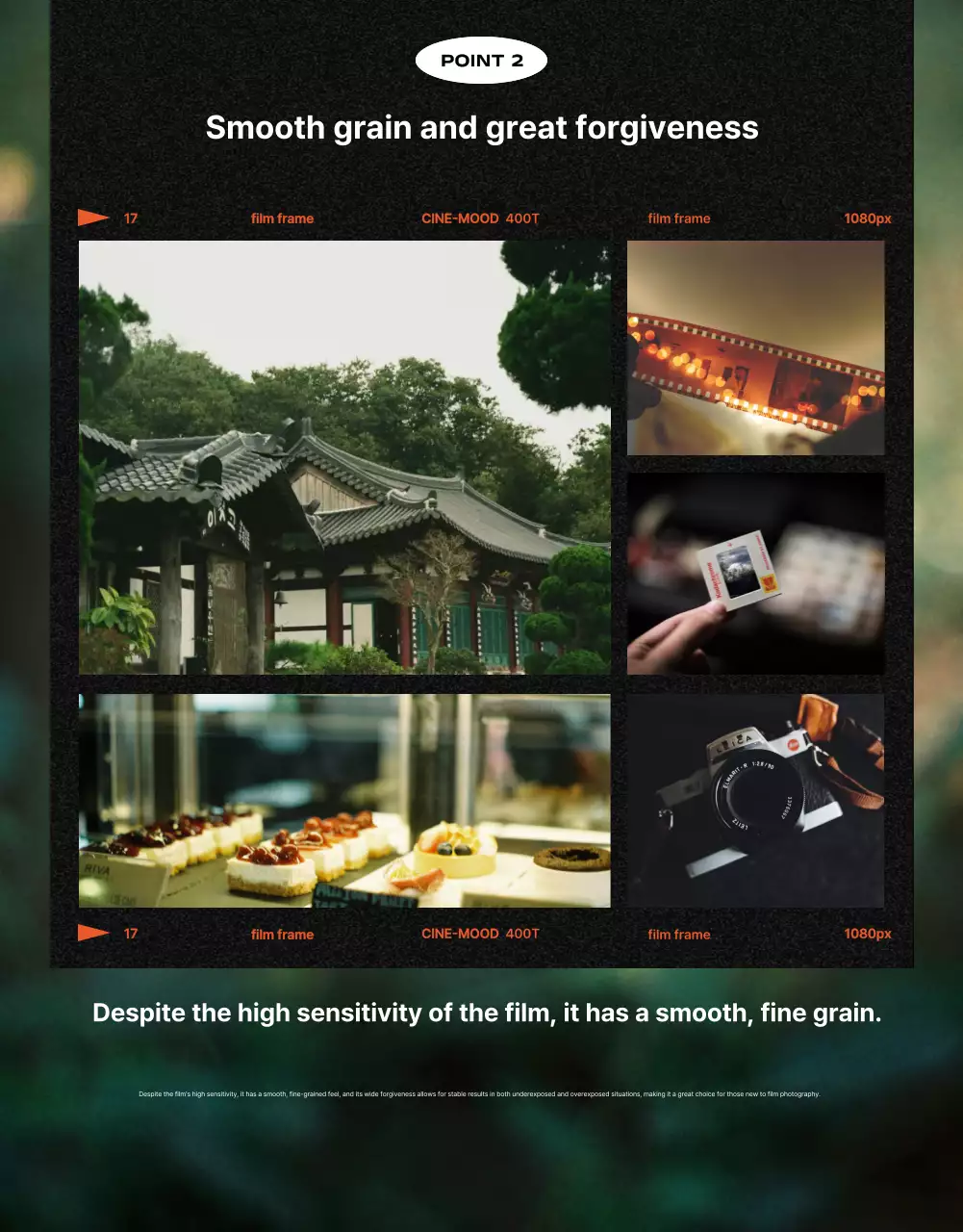 Iklan Kamera Film Vintage Biru