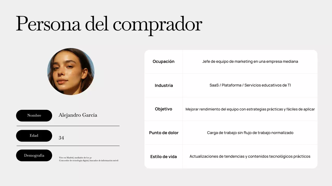 Presentación del plan de negocios moderno en gris