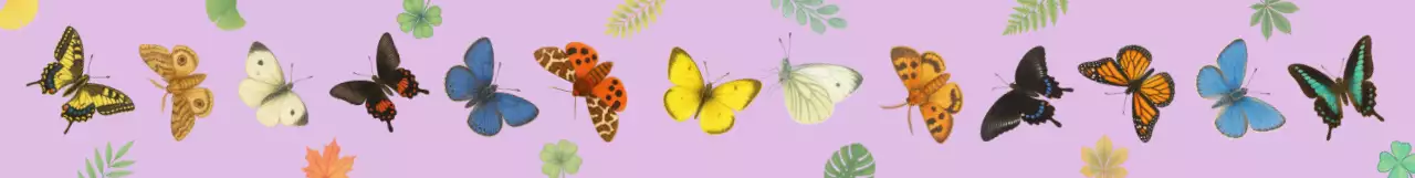 무지개 빛 처럼 우아하고 아름다운 나비 스티커