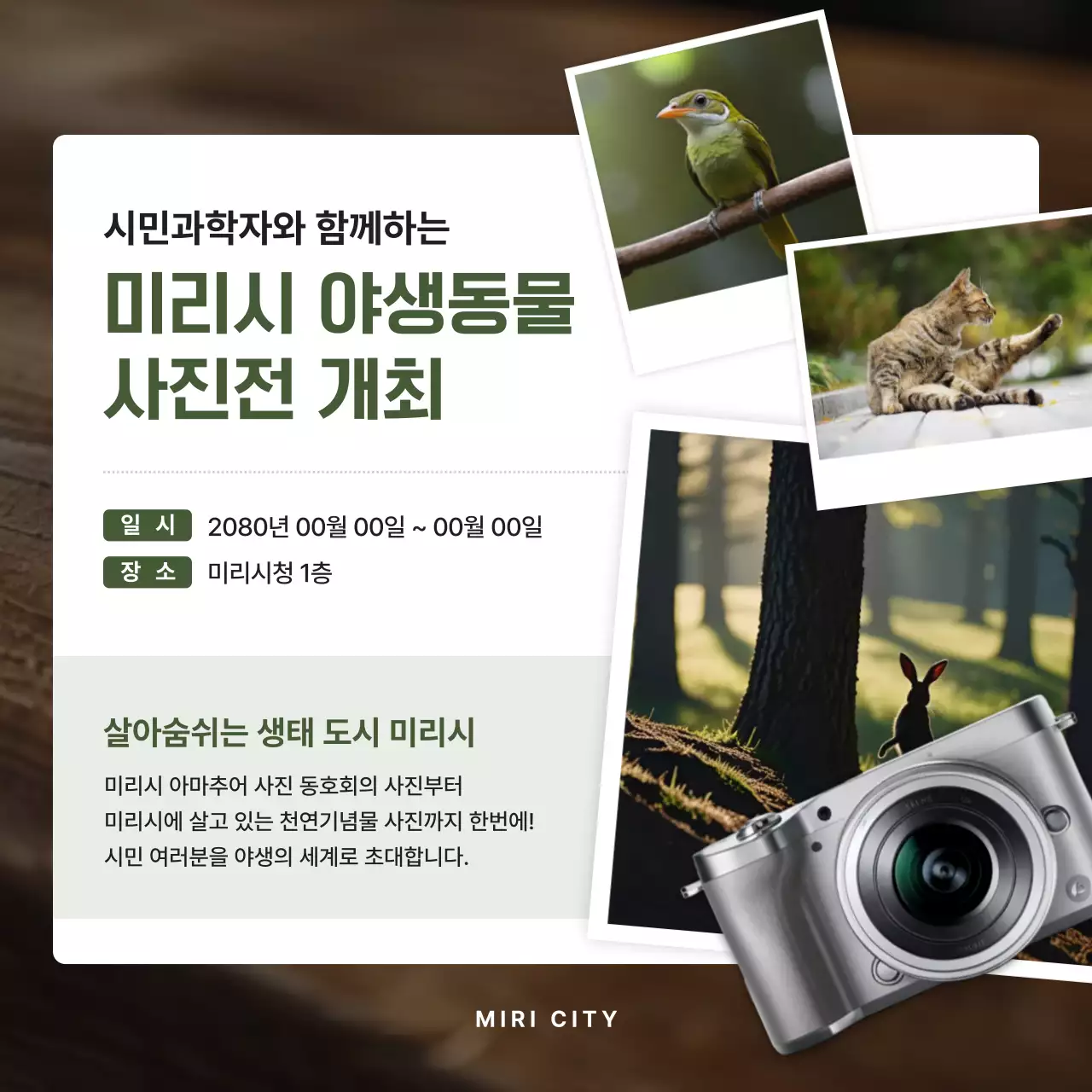 카키 깔끔 전시회 안내