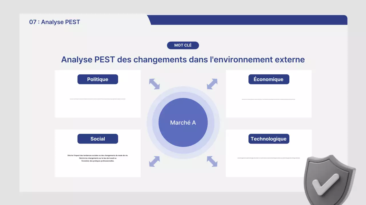 Rapport d'analyse de marché Gray Neat