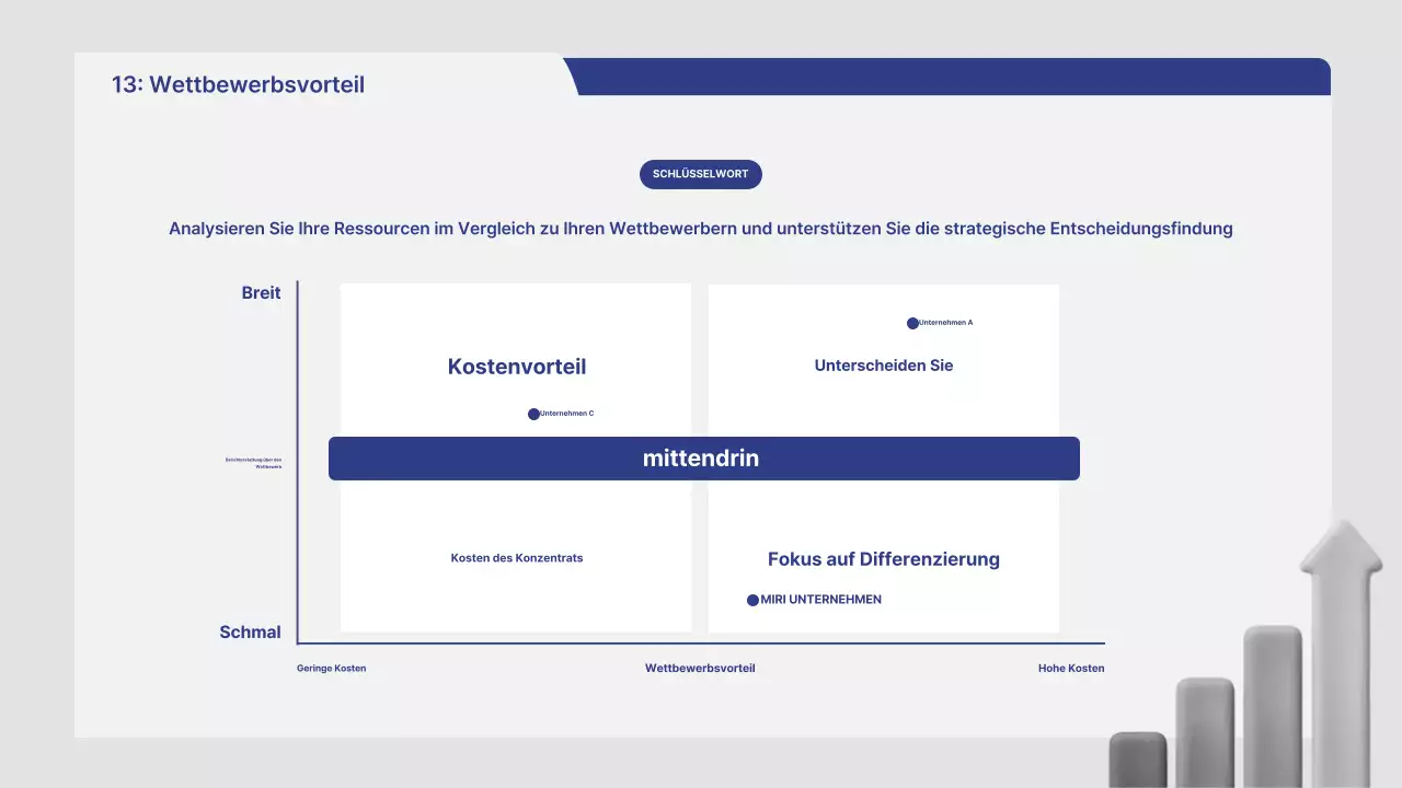 Marktanalysebericht für Graue Hausreinigung