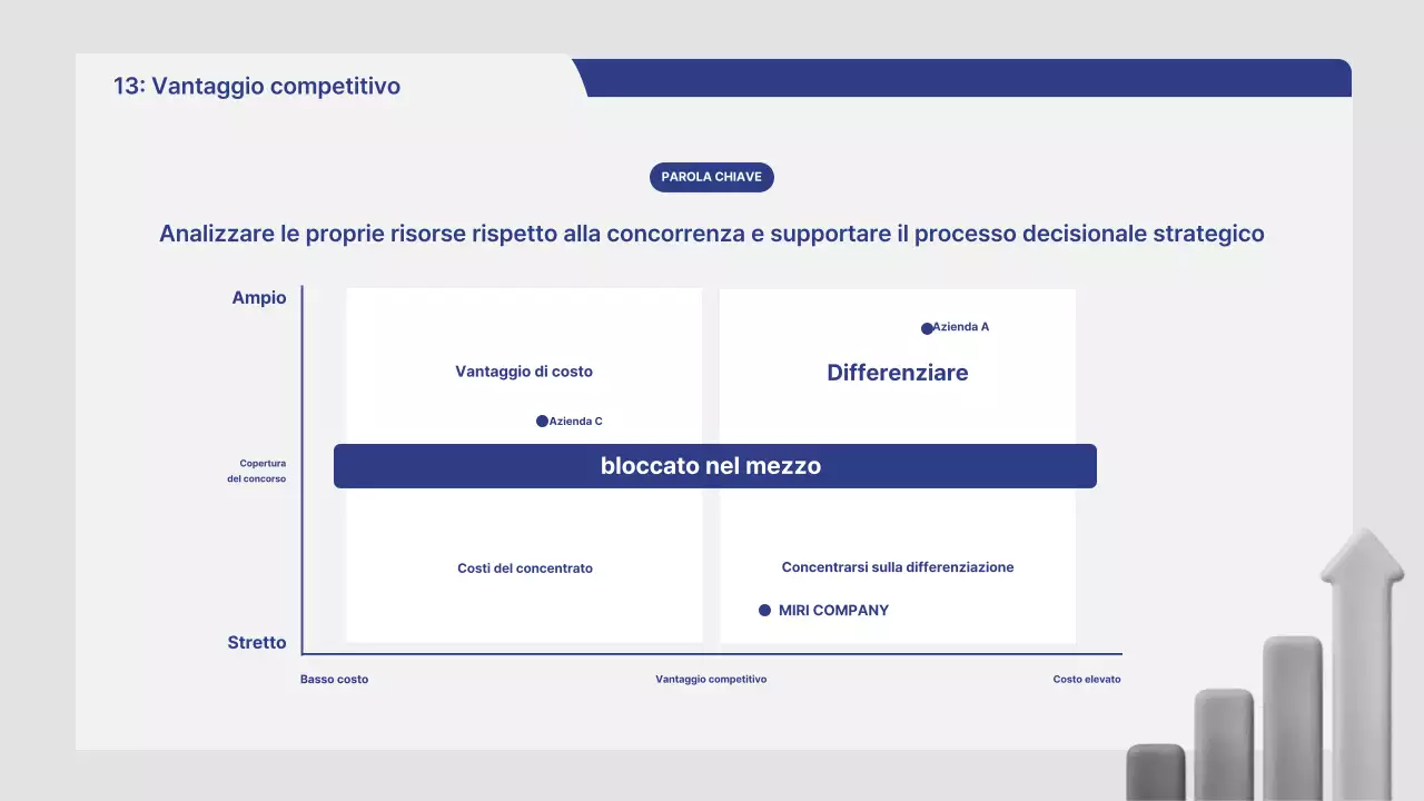 Rapporto di analisi di mercato Gray Neat