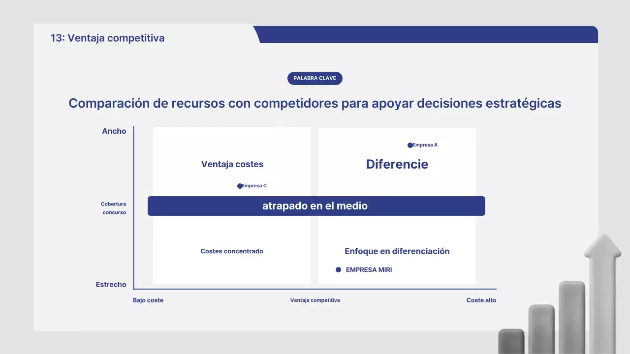 Informe de análisis de mercado de Gray Neat