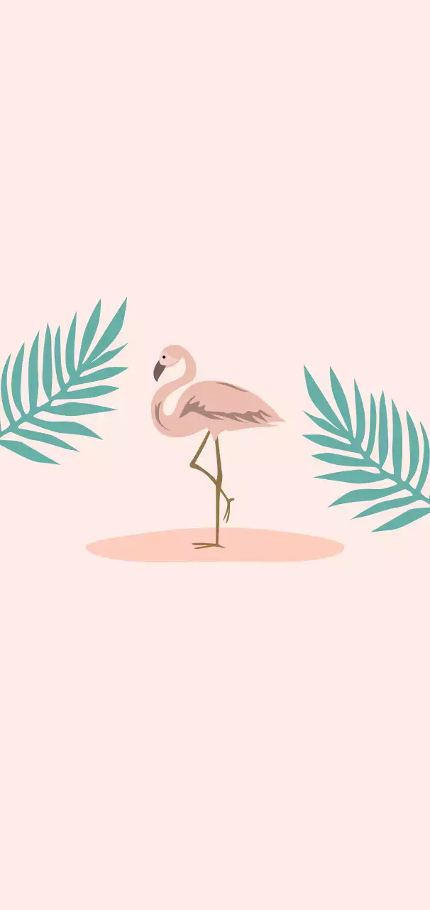 핑크 심플 자연 엽서