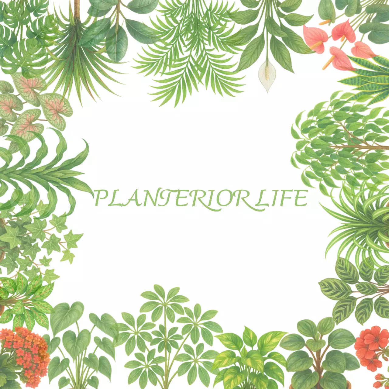 초록 싱그러운 인테리어 식물 포토프레임