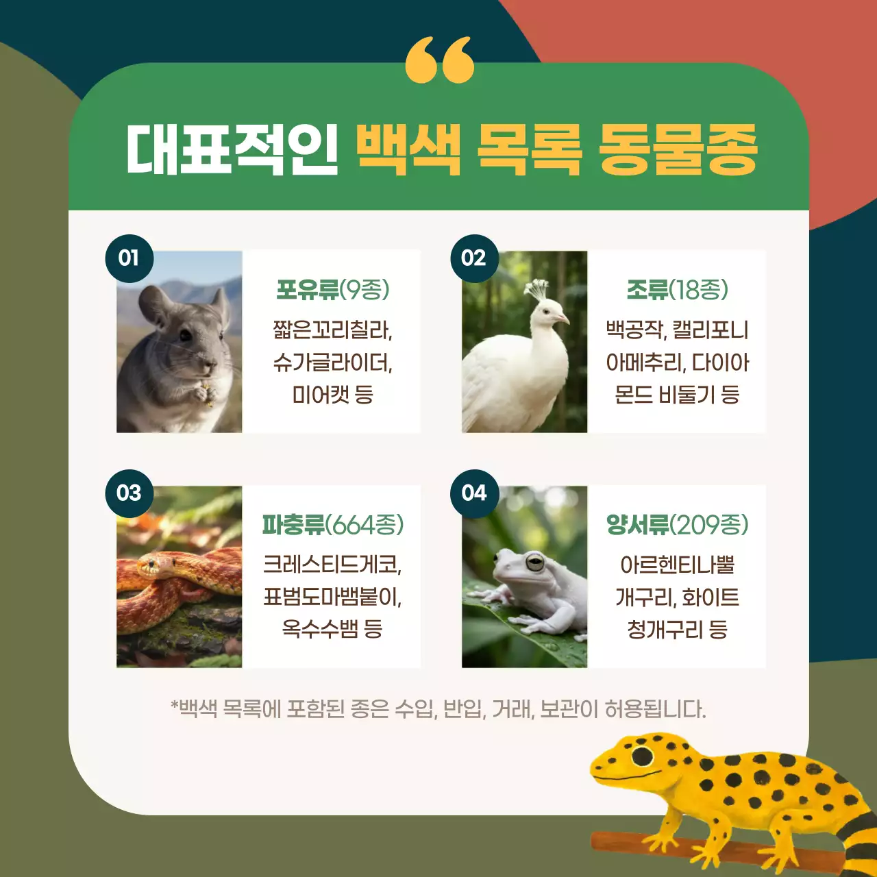 초록 깔끔 야생동물 안내