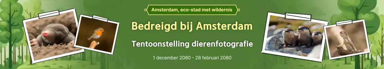 Gids voor de tentoonstelling Groene Natuur