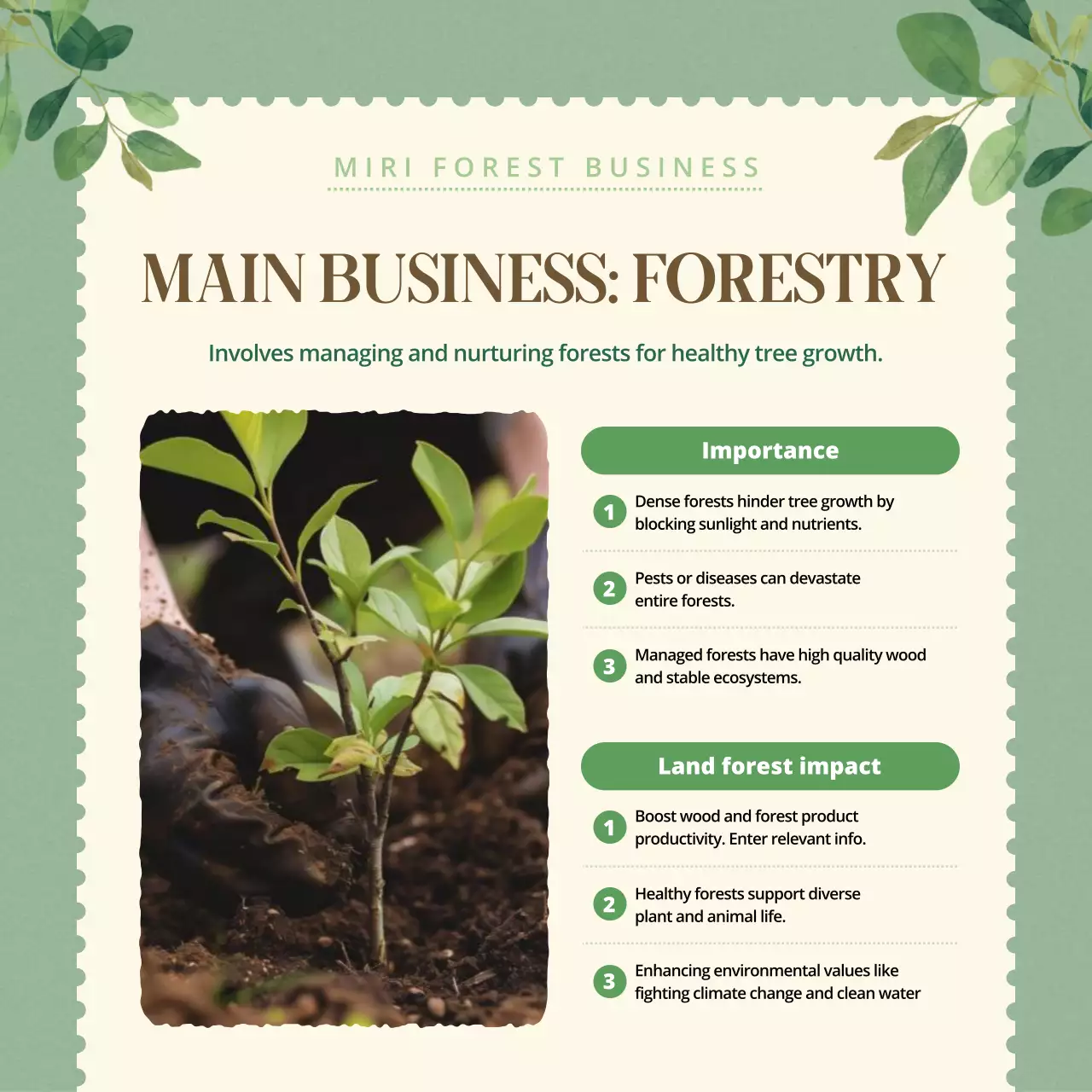 thông tin lâm nghiệp thực vật xanh