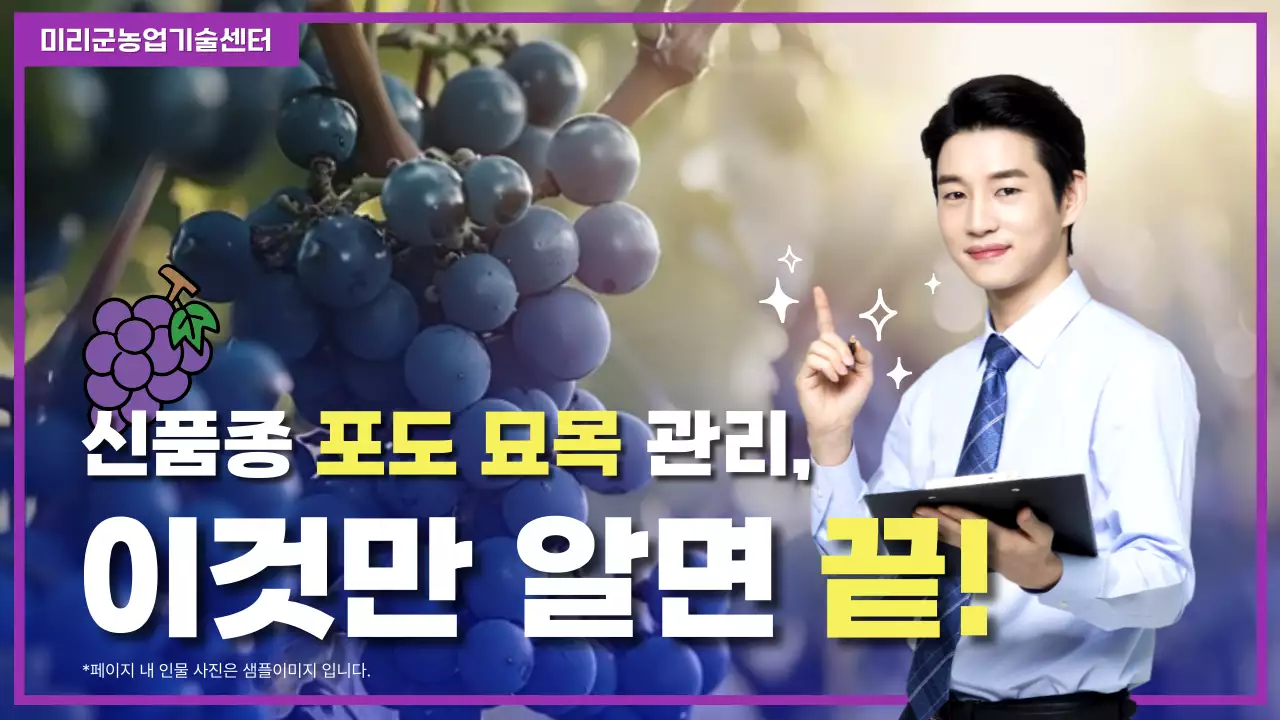 보라 모던 농업 교육