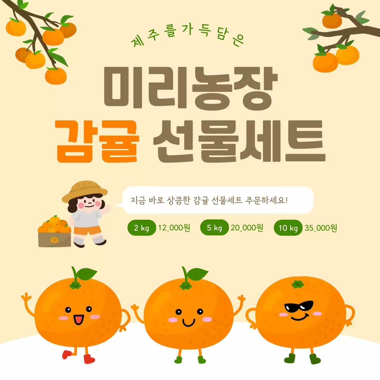 주황 귀여운 감귤 광고 홍보