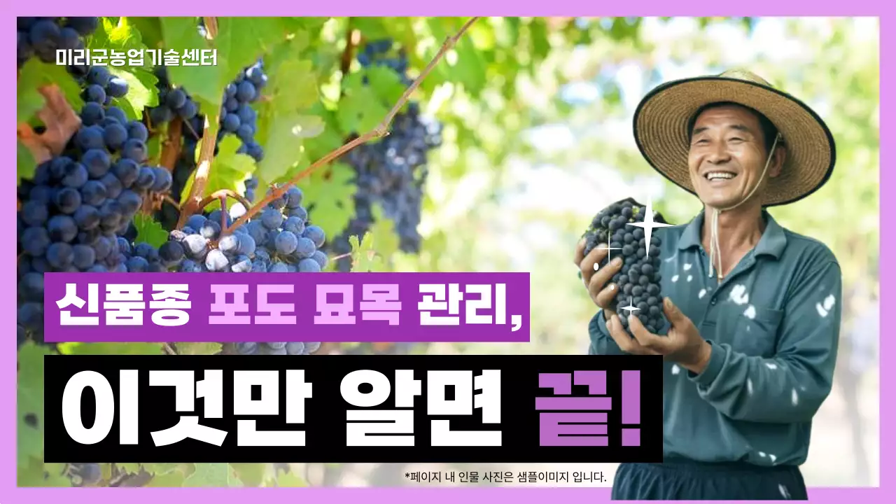 연보라 깔끔 농업 교육 자료