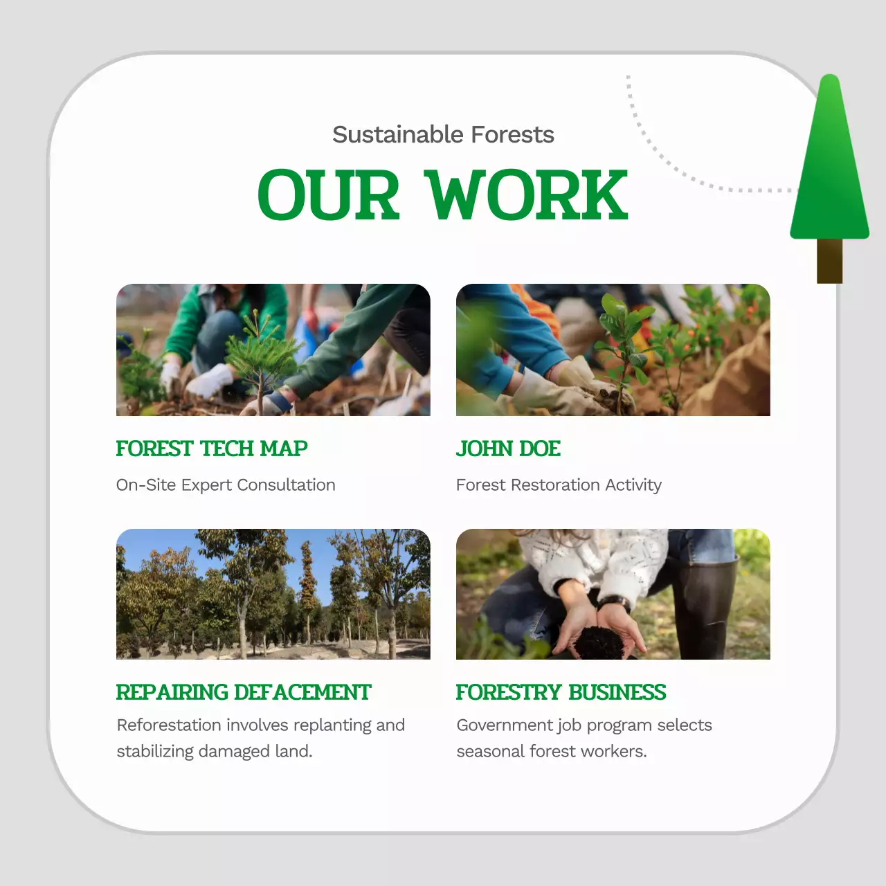 green modern forestry guide