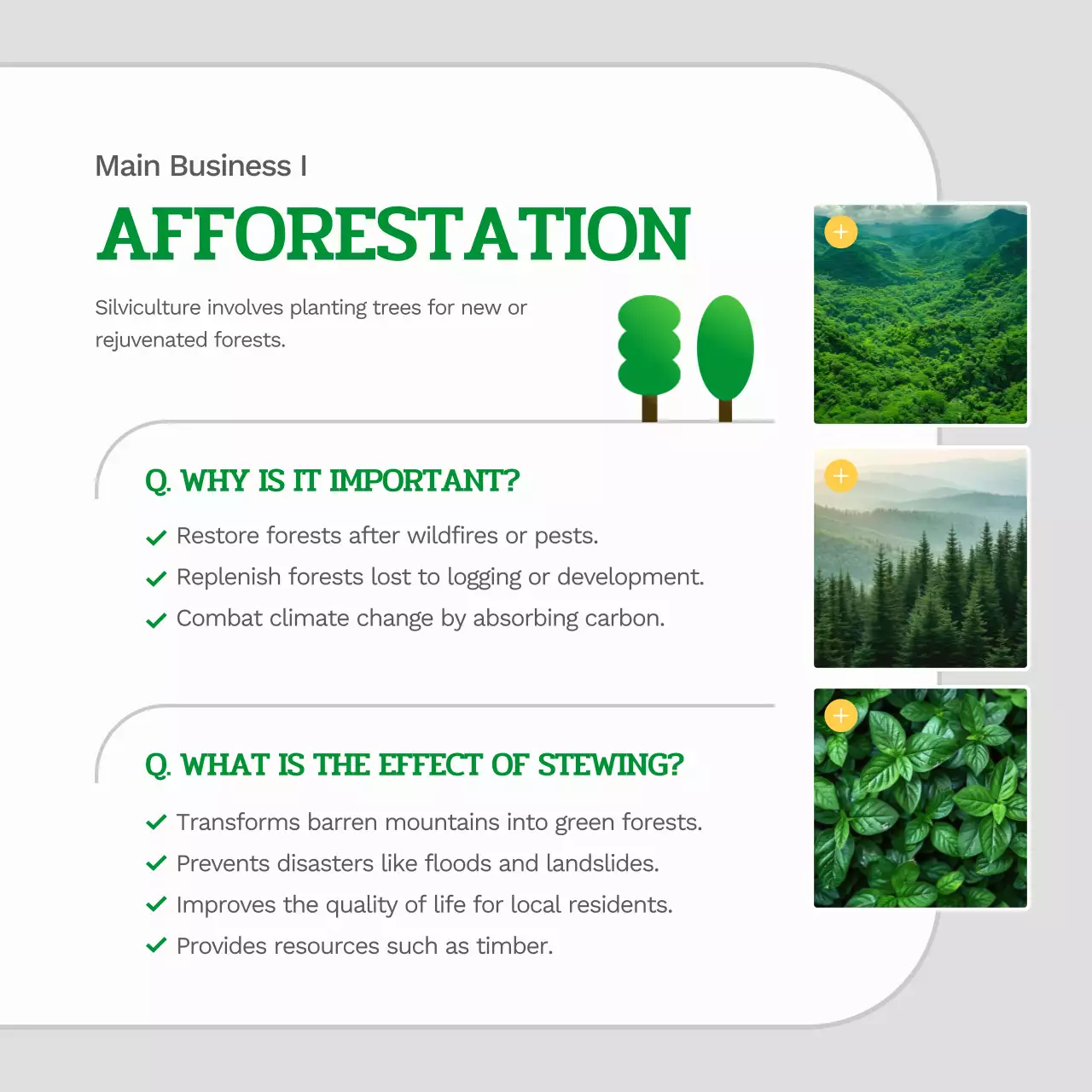 green modern forestry guide