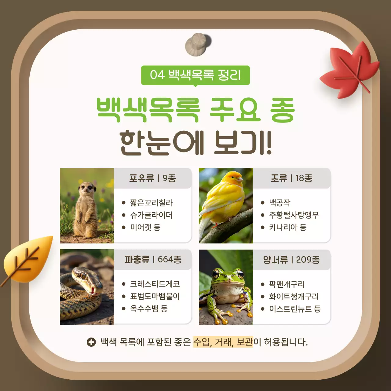 갈색 아기자기한 환경 보호 캠페인