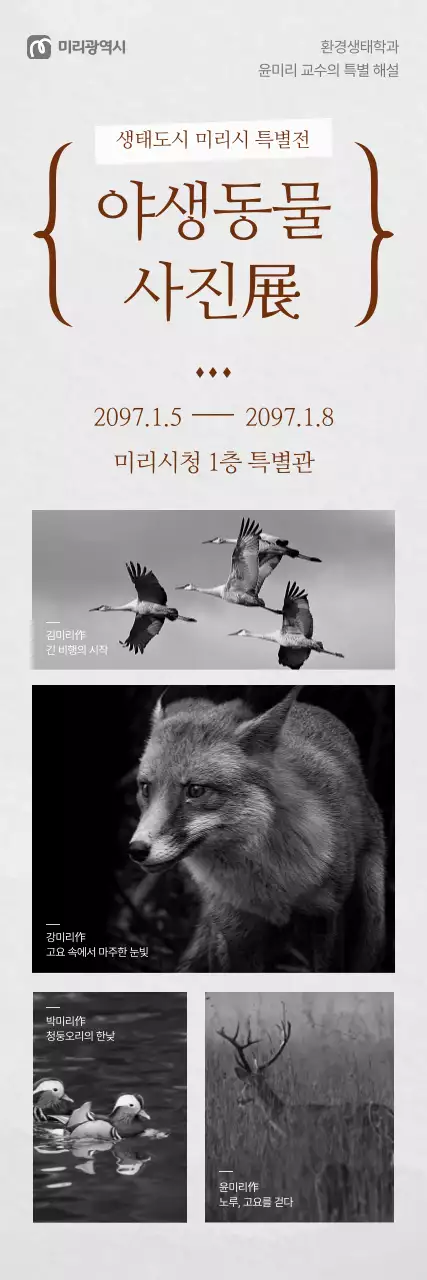 흑백 클래식 사진전 안내