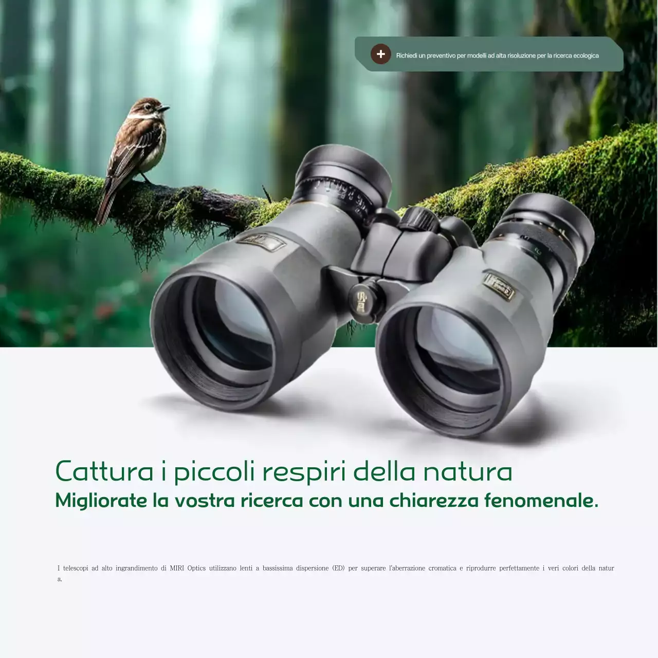 Promozione della ricerca sull'osservazione della natura verde