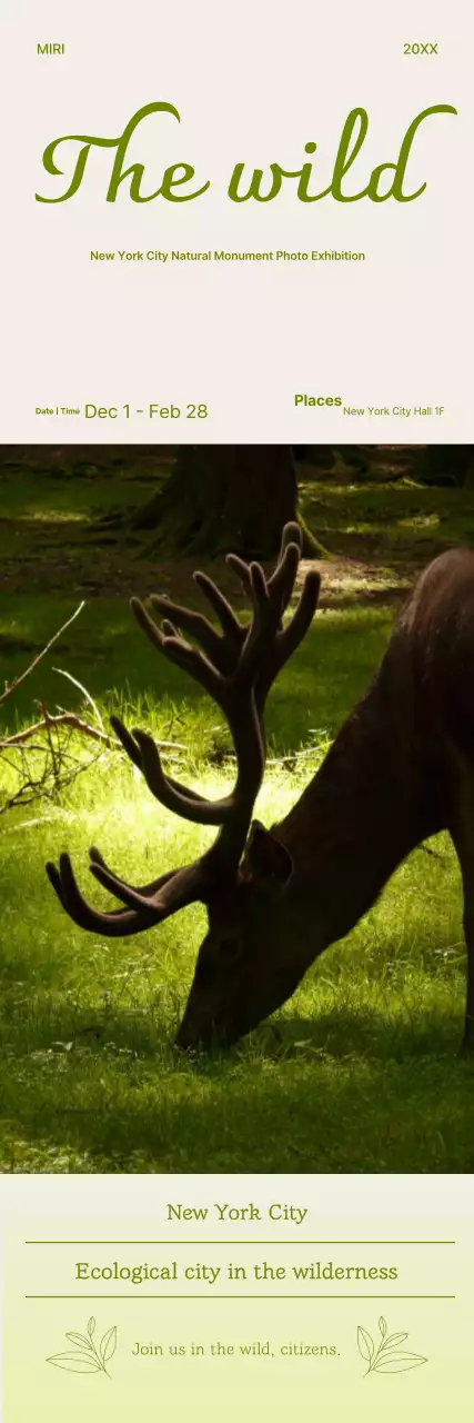 Exposição de Fotos de Animais Cáqui