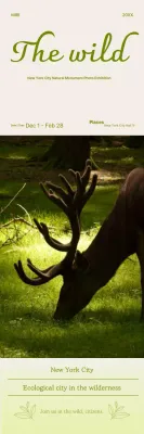 Exposição de Fotos de Animais Cáqui