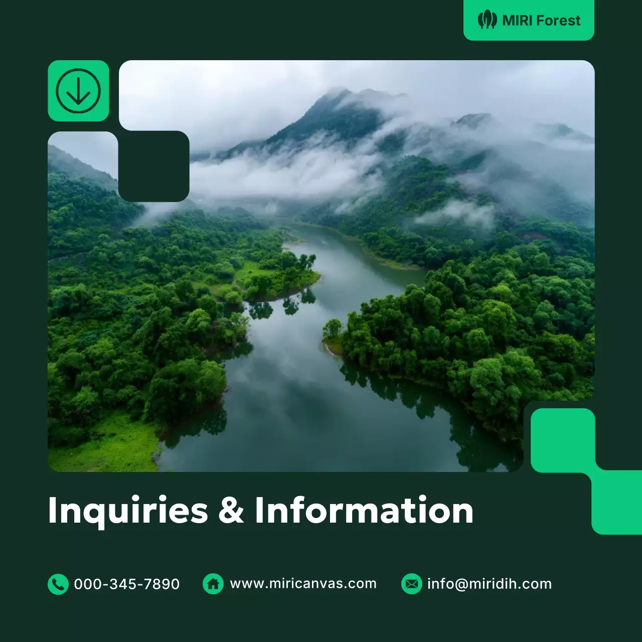 green modern forest promotion