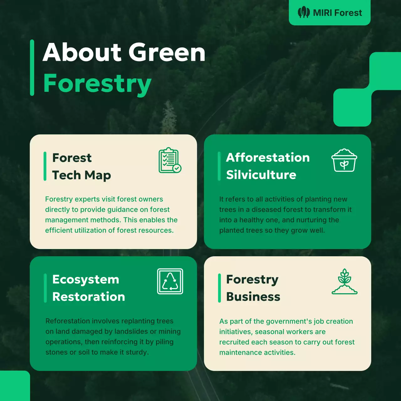 green modern forest promotion
