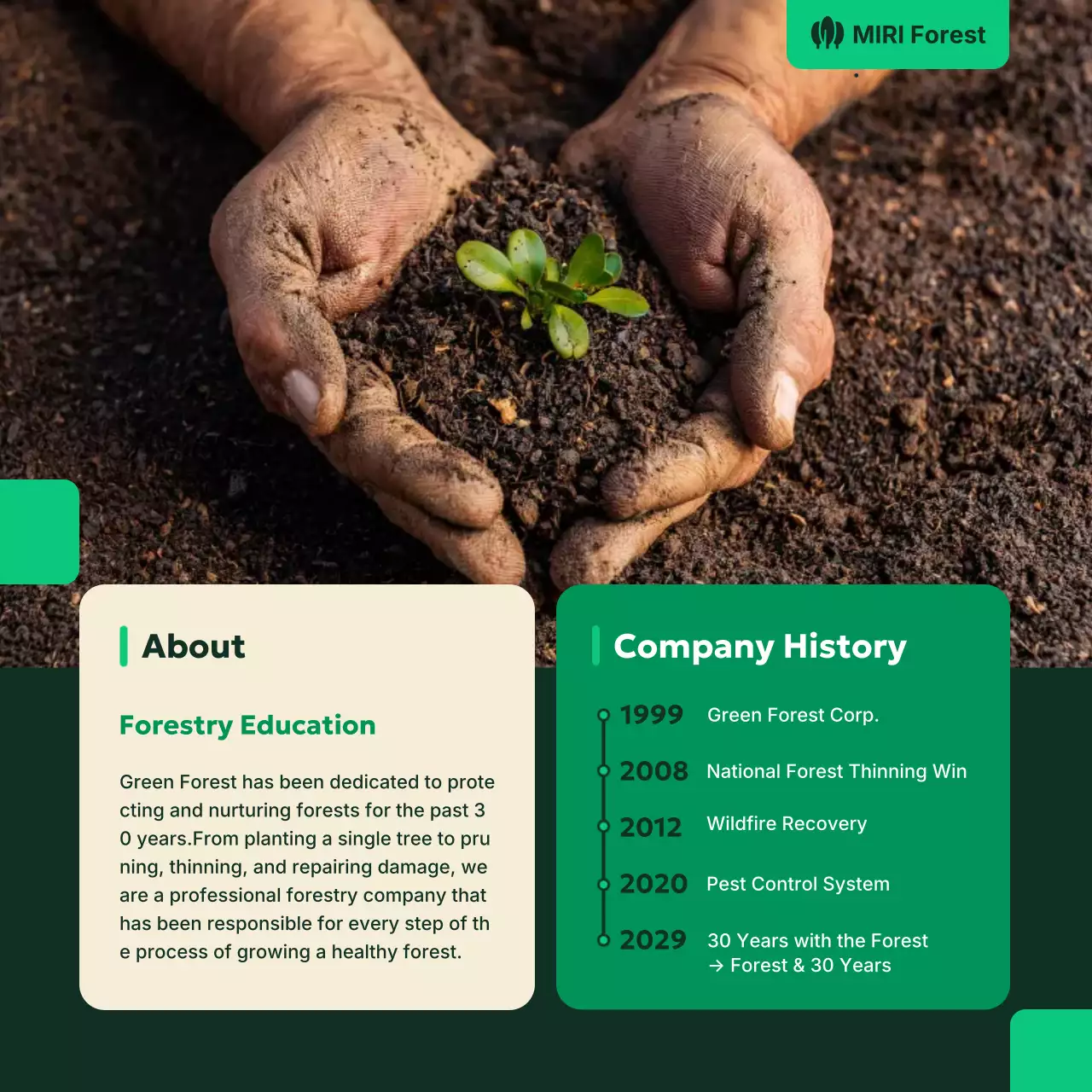 green modern forest promotion